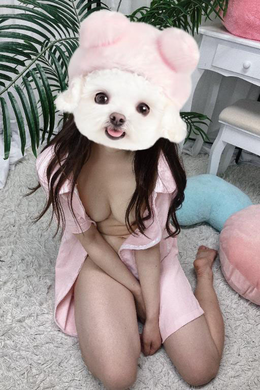 _{߂ ڍ
