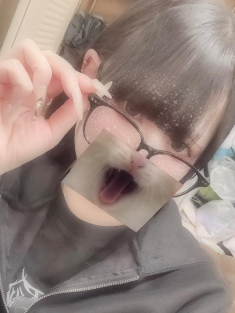 �s���A�i��� �ڍ�
